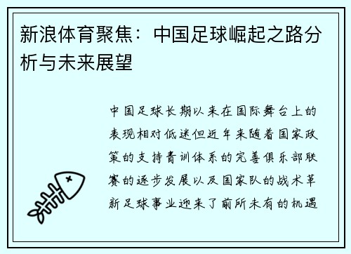 新浪体育聚焦：中国足球崛起之路分析与未来展望